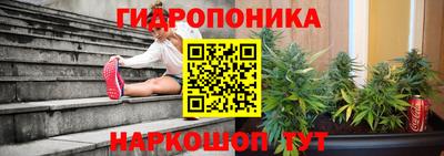 ПСИЛОЦИБИНОВЫЕ ГРИБЫ Аргун