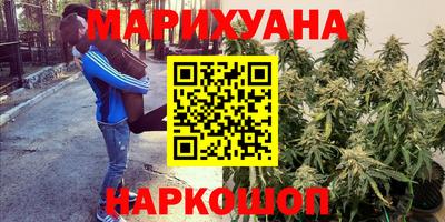 ECSTASY Нальчик